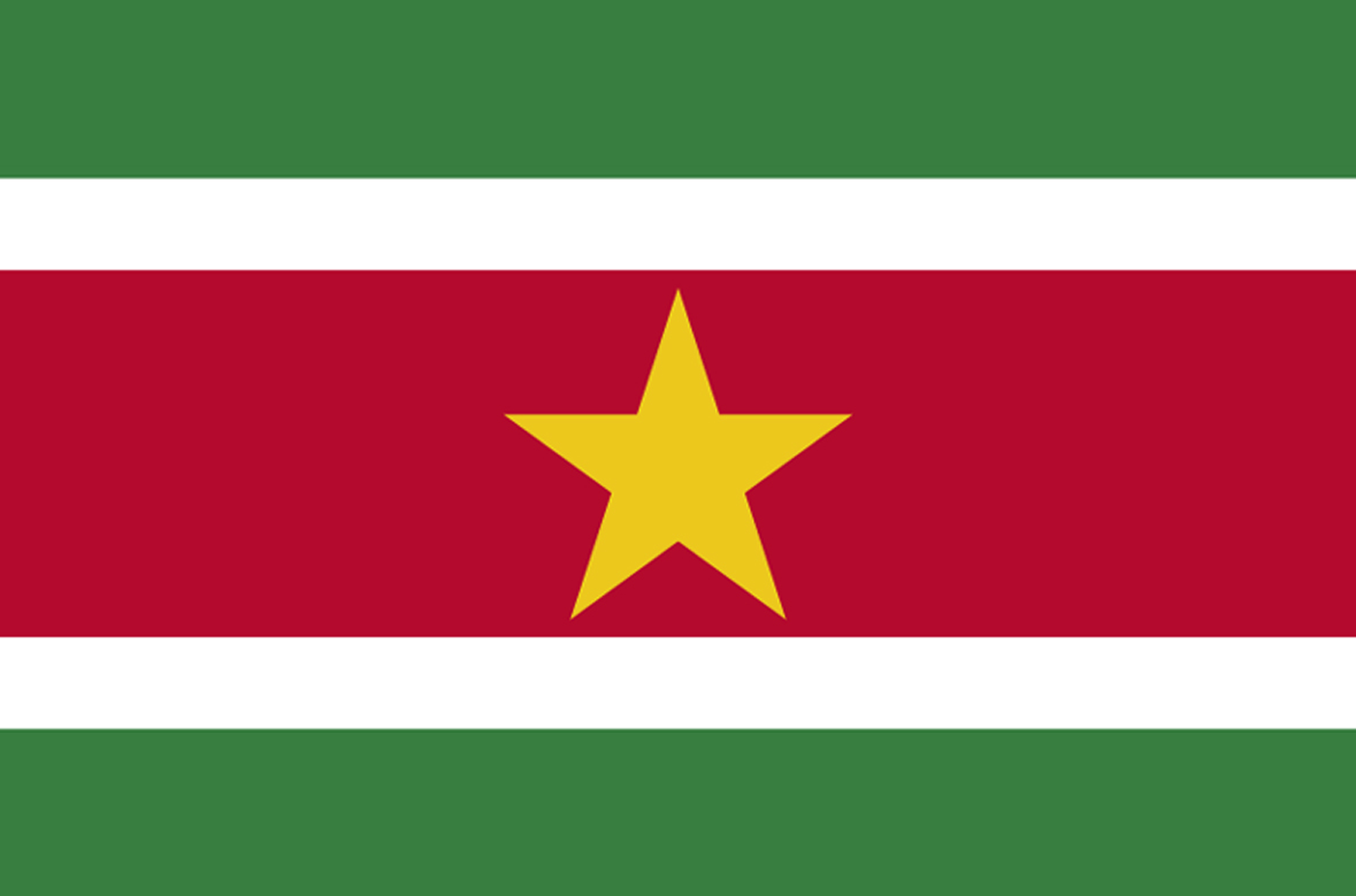 Drapeau Suriname (19.5 x 13 cm) - Sticker/autocollant