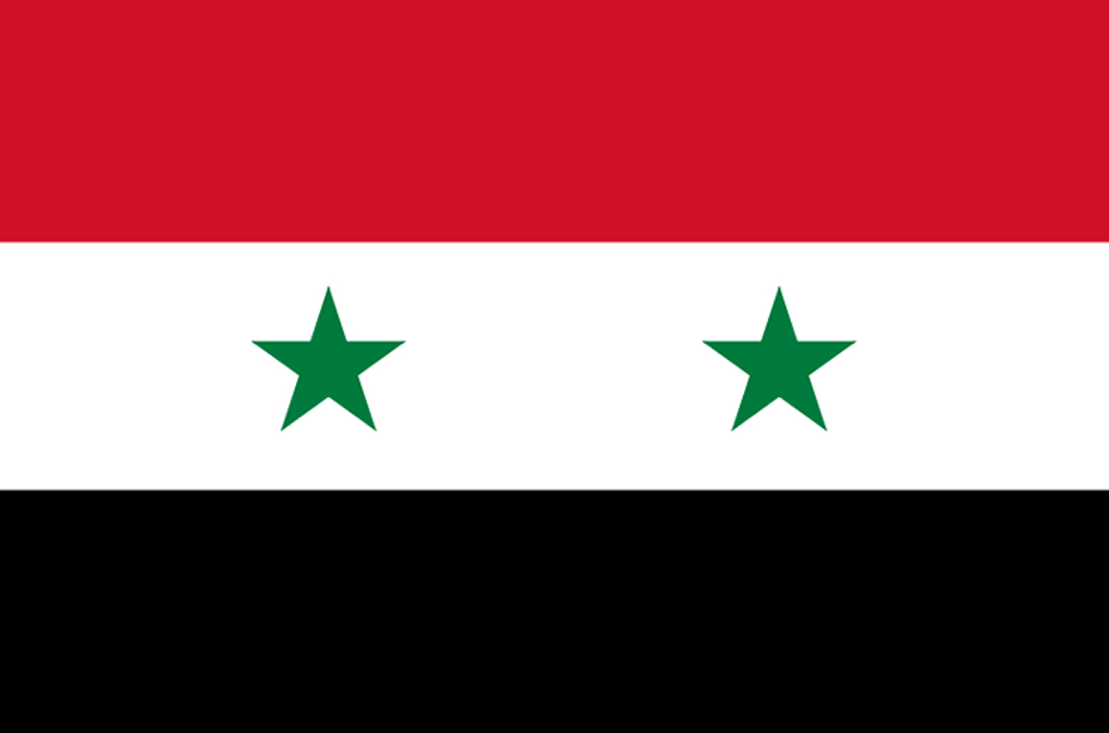 Drapeau Syrie (19.5 x 13 cm) - Sticker/autocollant