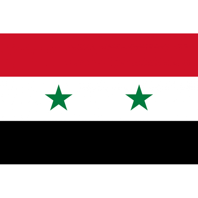 Drapeau Syrie (5 x 3.3 cm) - Sticker/autocollant