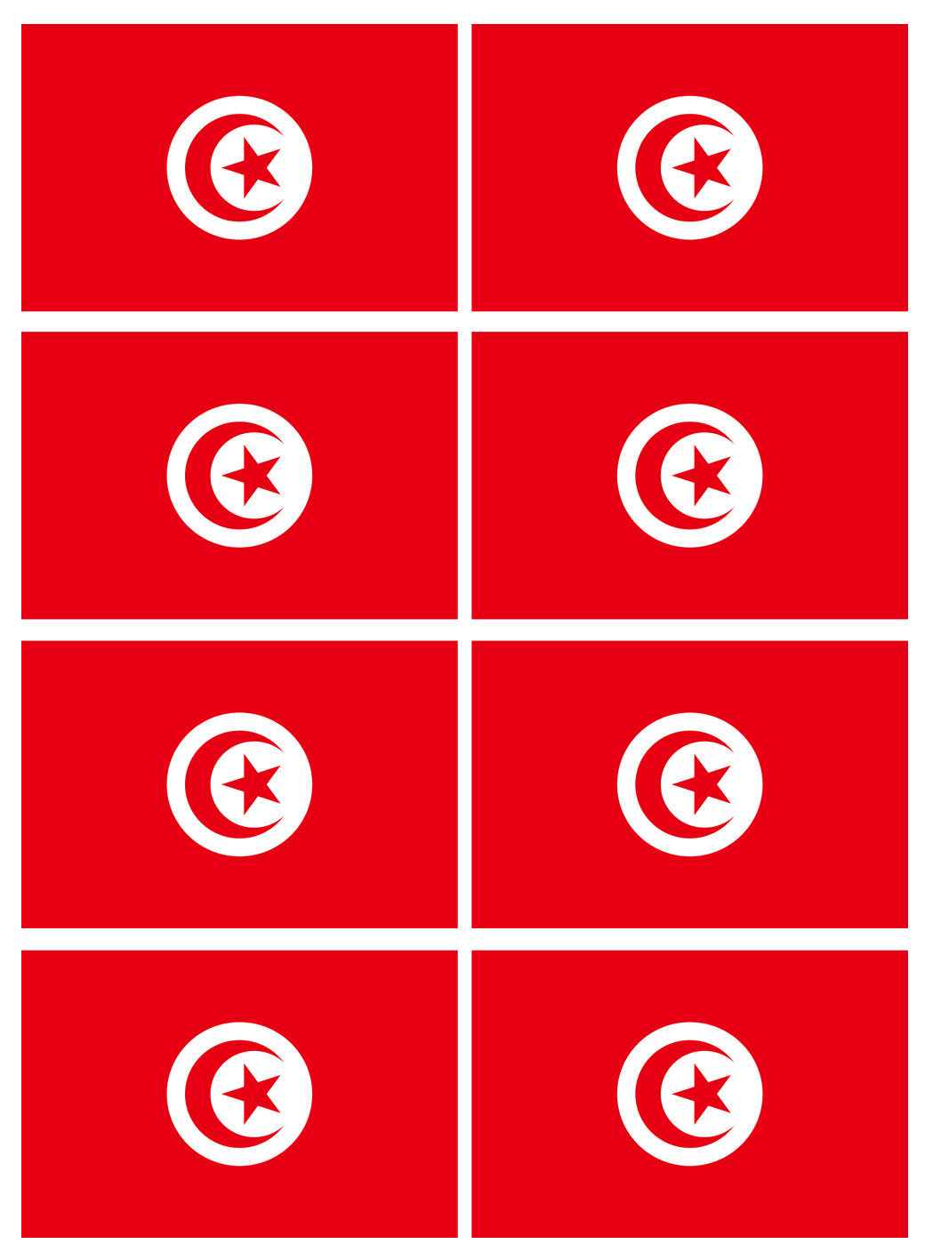 Drapeau Tunisie (8 stickers - 9.5 x 6.3 cm) - Sticker/autocollant