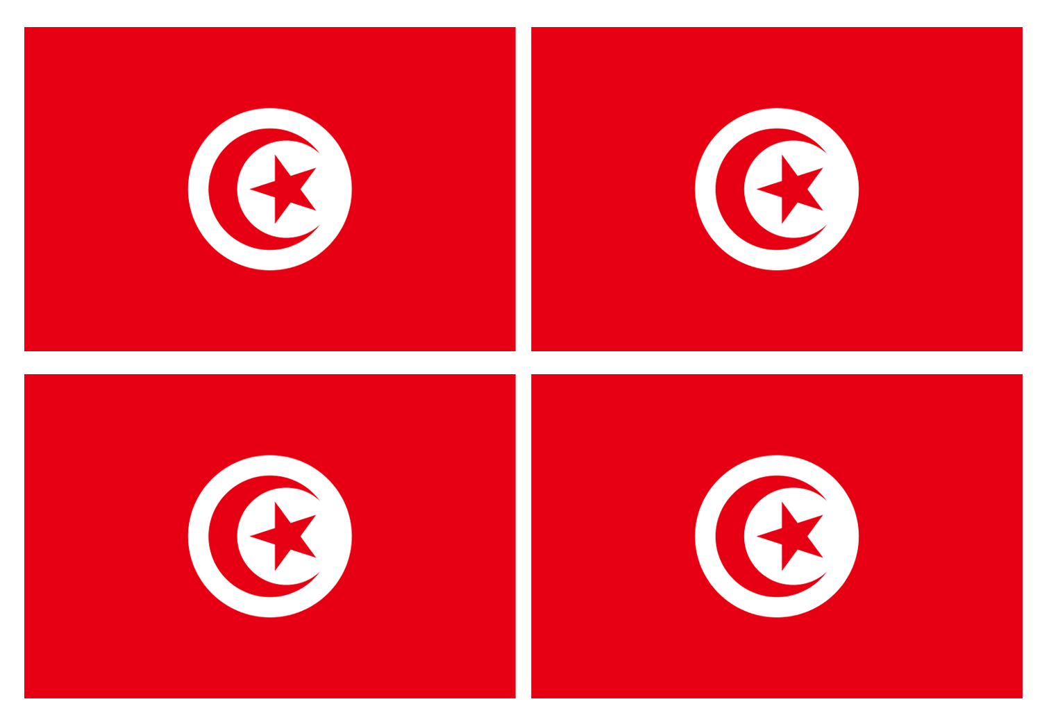 Drapeau Tunisie (4 stickers - 9.5 x 6.3 cm) - Sticker/autocollant