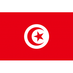 Drapeau Tunisie (19.5 x 13 cm) - Sticker/autocollant