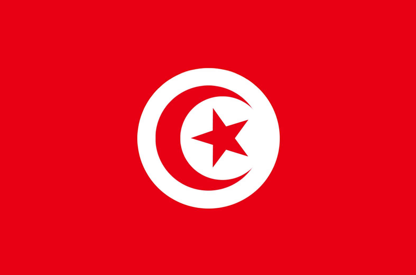 Drapeau Tunisie (19.5 x 13 cm) - Sticker/autocollant