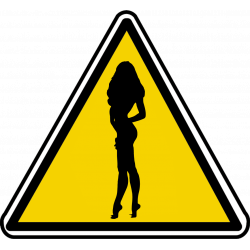 silhouette pin-up 31 (20x18.2cm) - Sticker/autocollant