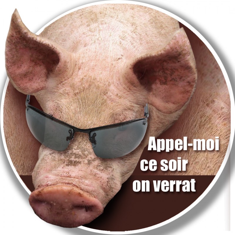 Appel-moi on verrat (20x20cm) - Sticker/autocollant