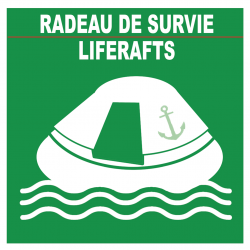 RADEAU DE SURVIE (5X5cm) - Sticker/autocollant