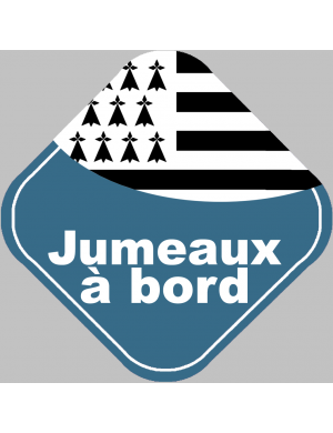 bébés à bord jumeaux breton (10x10cm) - Sticker/autocollant