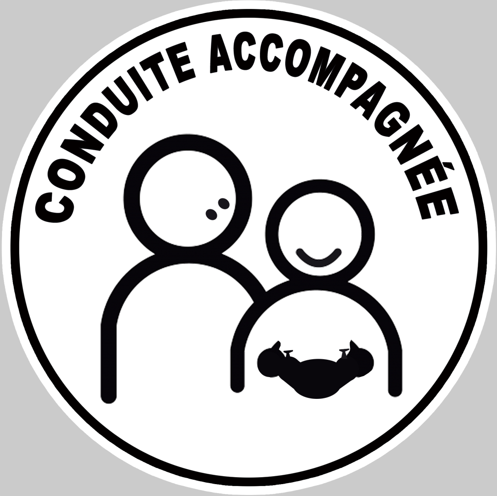 conduite accompagnée gamer - 15cm - Sticker/autocollant