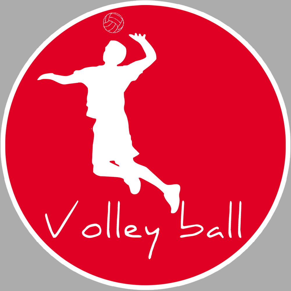 Volley ball - 15cm - Sticker/autocollant