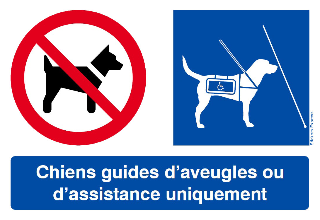 Interdit Sauf Chiens Guides (15x10cm) - Sticker / autocollant