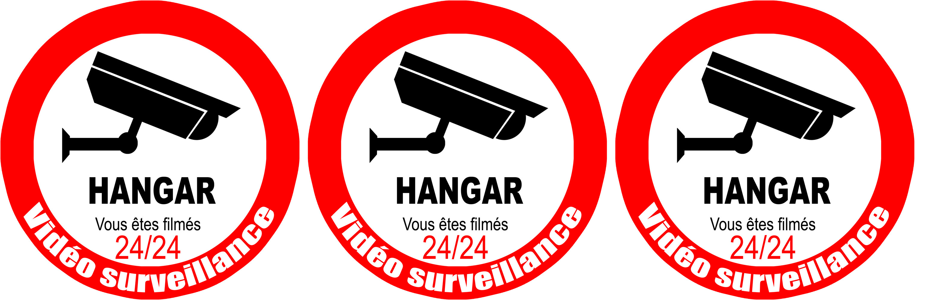 vidéo surveillance HANGAR - 3fois 5cm - Sticker/autocollant