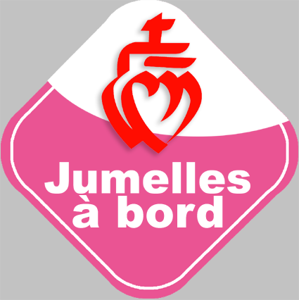 bébés à bord jumelles vendéennes - 15cm - Sticker/autocollant