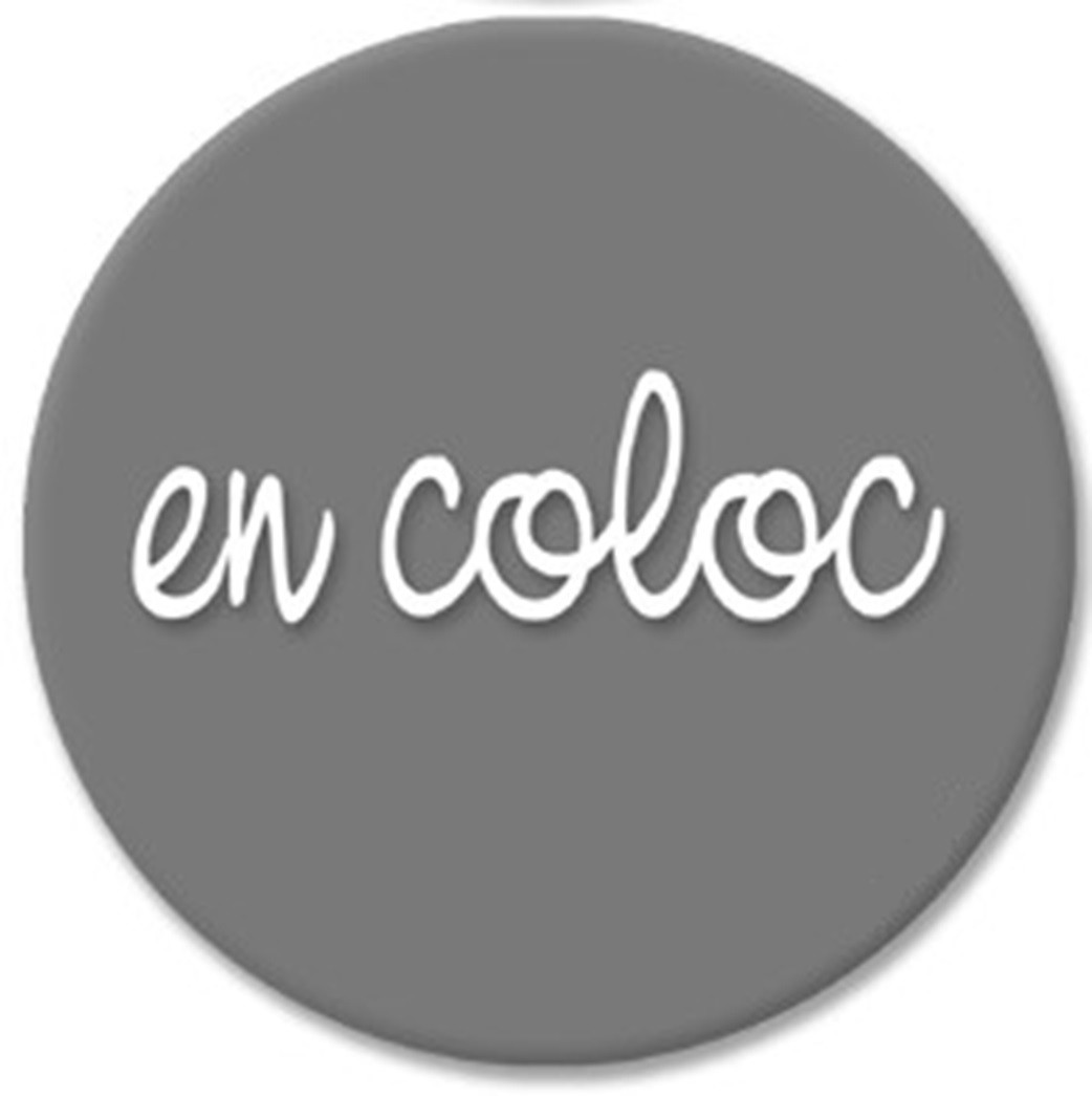 En coloc gris (10cm) - Sticker/autocollant