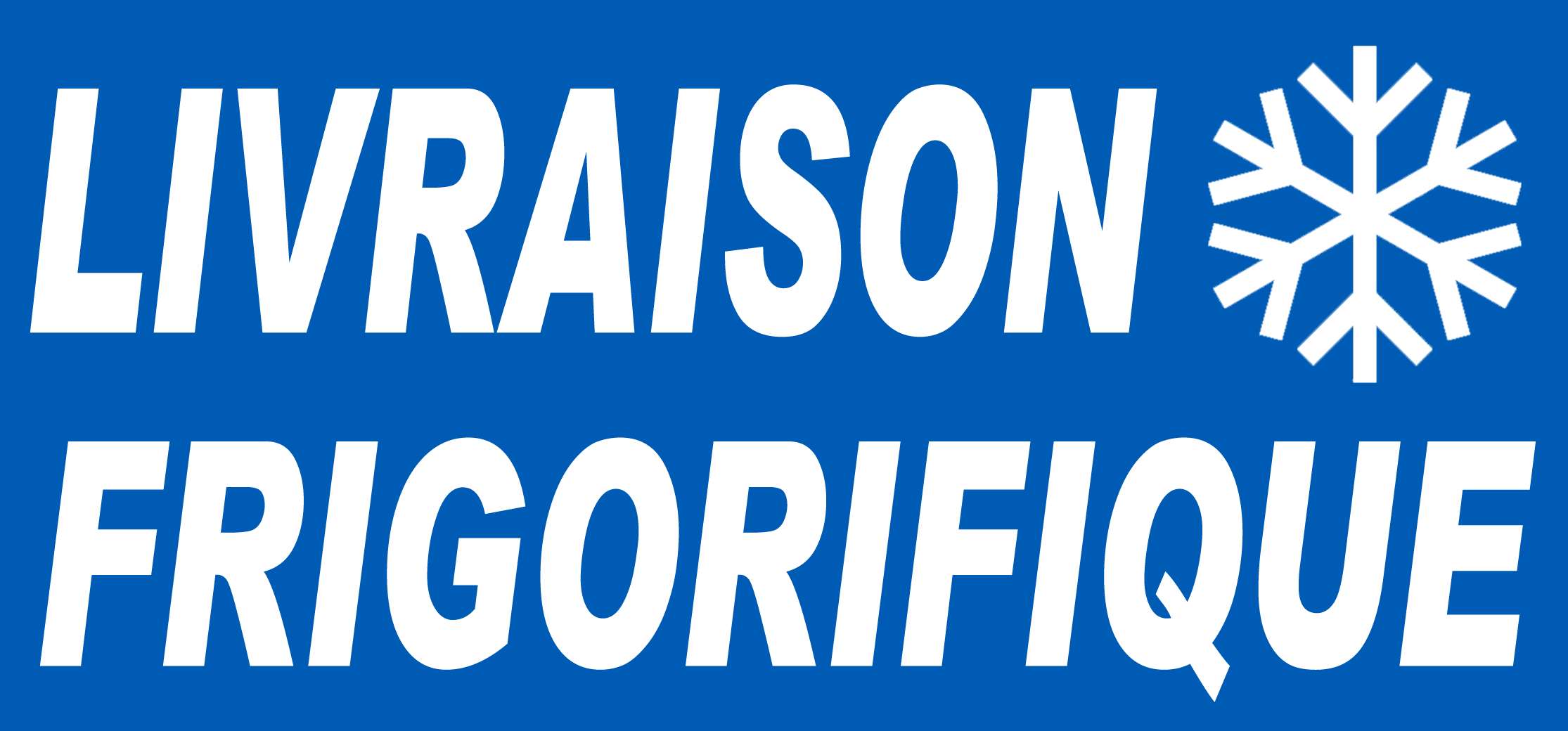 Livraison frigorifique logo - 30x14 cm - Sticker/autocollant