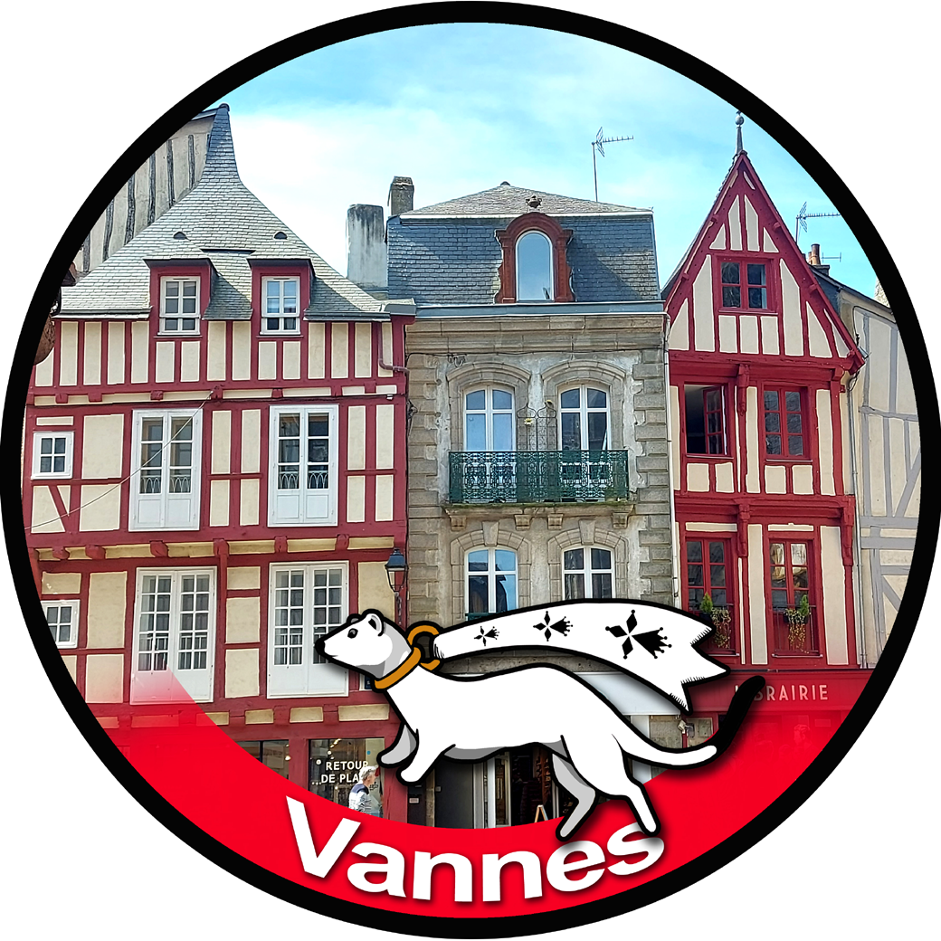 Vannes - 20x20cm - Sticker/autocollant