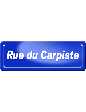 rue du carpiste (29,5x10,5cm) - Sticker/autocollant