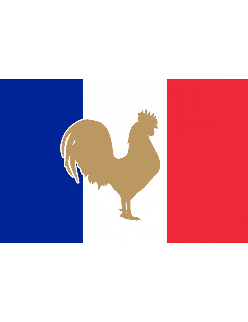 Coq Français - 19.5x13cm - Sticker/autocollant