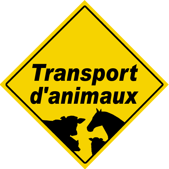 Transport d'animaux - 15x15cm - Sticker/autocollant