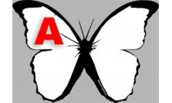 effet papillon A - 15cm - Sticker/autocollant