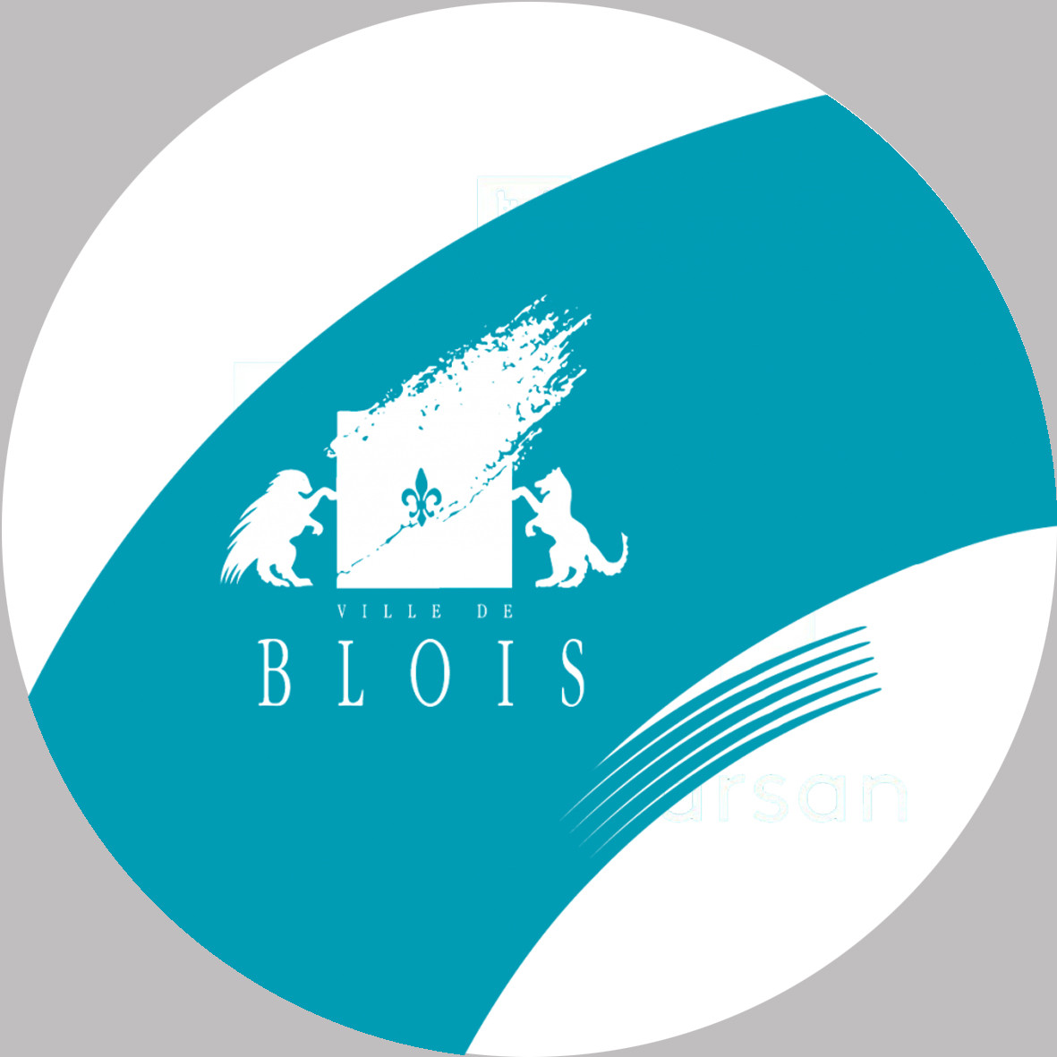 Blois (20x20cm) - Sticker/autocollant