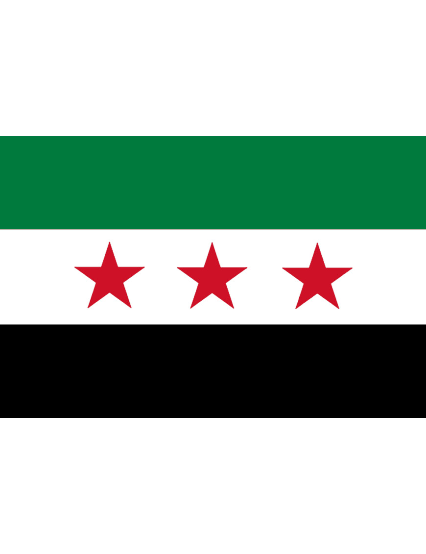 Drapeau Syrie (5 x 3.3 cm) - Sticker/autocollant